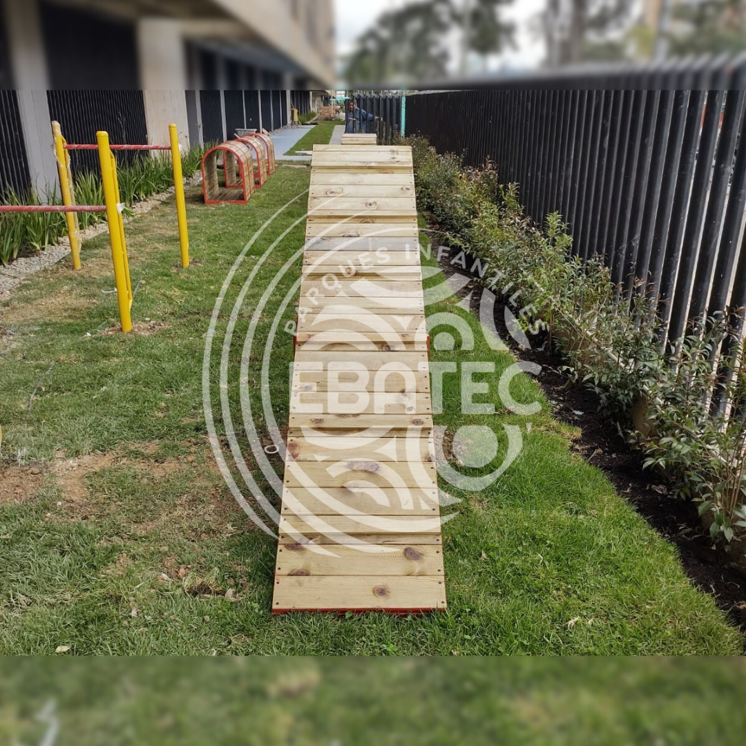 imagen-6