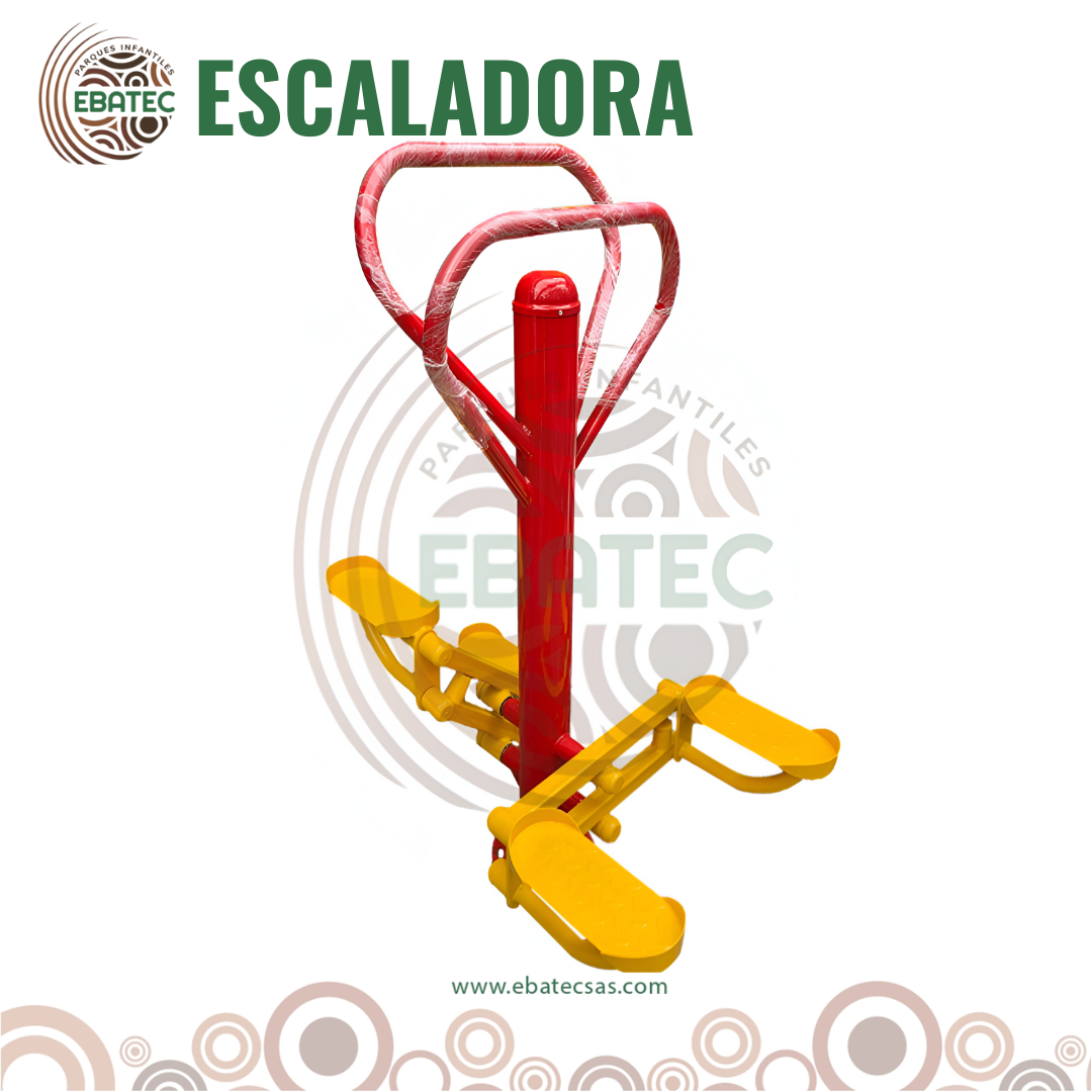 imagen-7