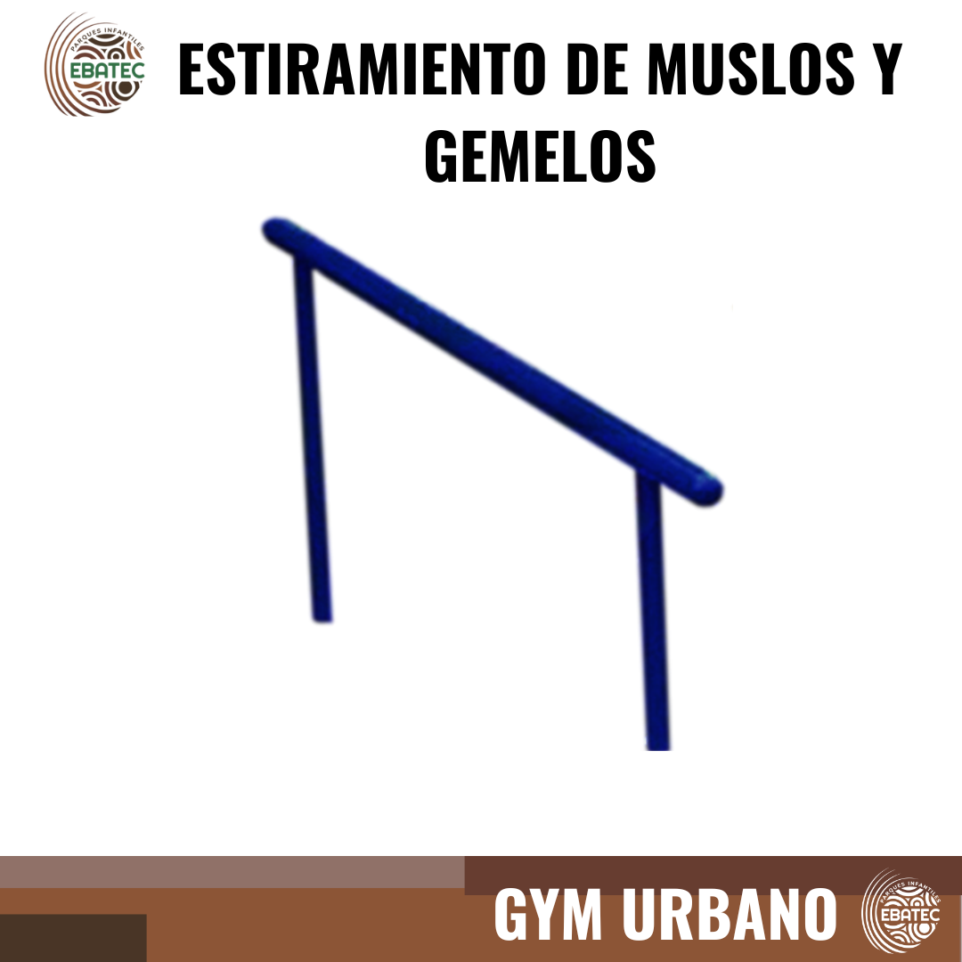 imagen-11